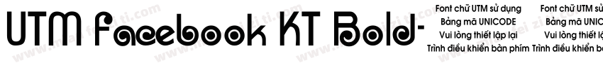 UTM Facebook KT Bold字体转换